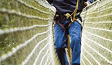 Go Ape! High Wire Forest Adventure Leeds Castle
