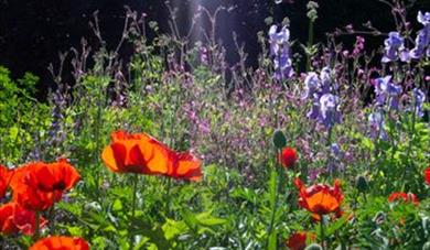 None