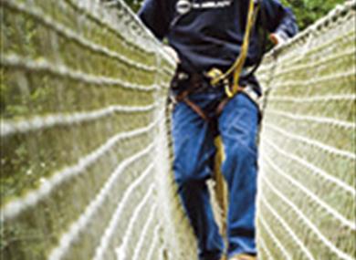Go Ape