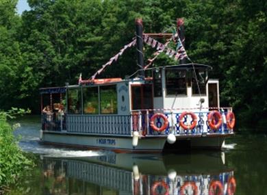 Allington Belle