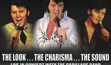 A Vision of Elvis