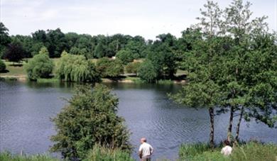 Autumn bird walk