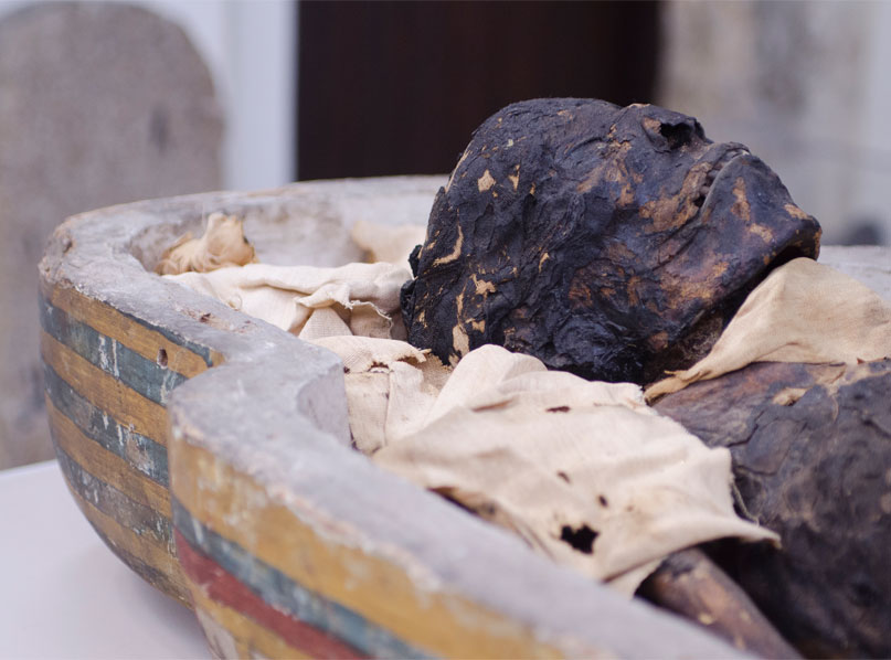 Tarkesh the Mummy at Maidstone Museum 