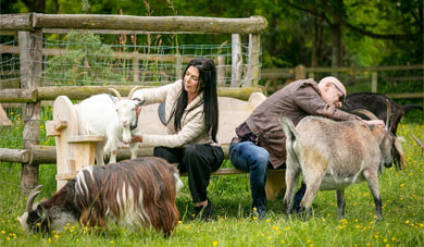 Buttercups Sanctuary for Goats