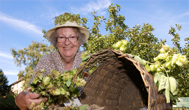 Hops N Harvest Festival