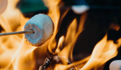 Toasting Marshmallows on the fire