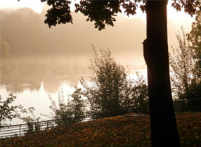 Early in morning in Mote Park with mist on the Lake