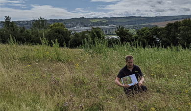 Wild Flower Meadow over looking M2 Bridge and the River Medway