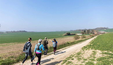 Walkers walking along the North Downs Way