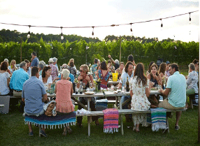 Vineyard crowd