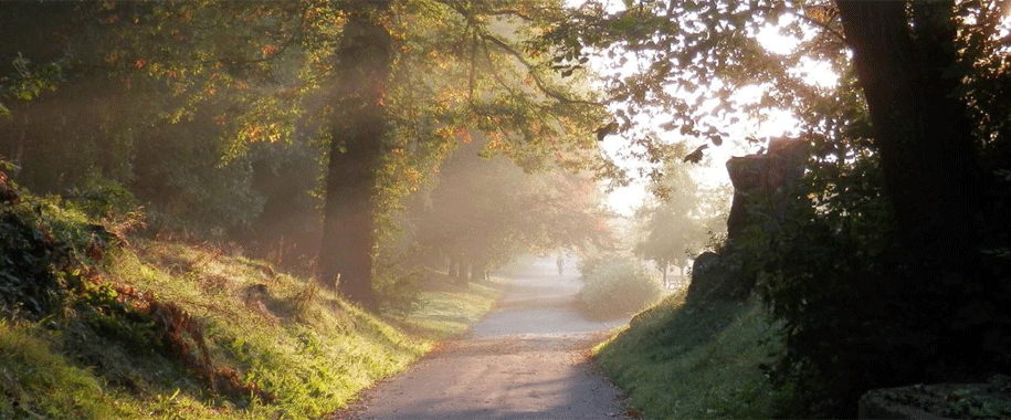 Mote Park in Autumn