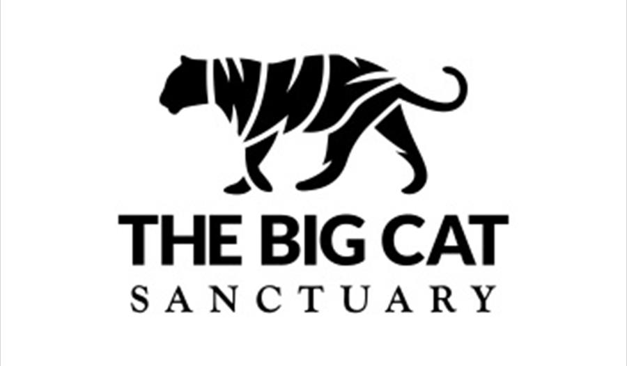 The Big Cat Sanctuary Animal Collection In Ashford Maidstone