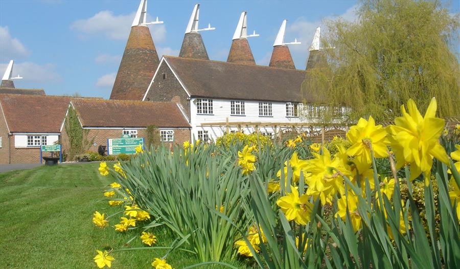 The Hop Farm Family Park Camping & Caravan Site in Maidstone